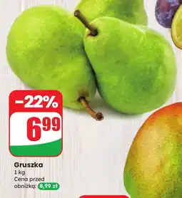 Dino Gruszka Dino oferta
