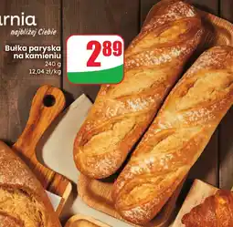 Dino Bułka paryska na kamieniu Dino oferta