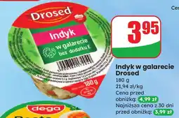 Dino Indyk w galarecie Drosed oferta