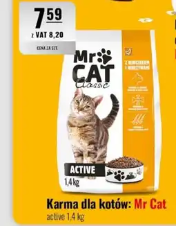 Eurocash Karma dla kotów: Mr Cat active oferta