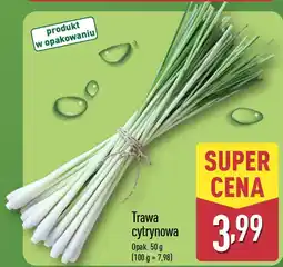 ALDI Trawa cytrynowa oferta