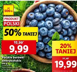 Lidl Borówki amerykańskie Lidl oferta