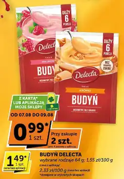 Euro Sklep Budyń Delecta oferta