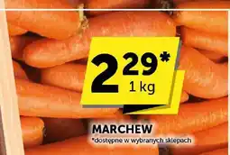 Euro Sklep Marchew Euro Sklep oferta