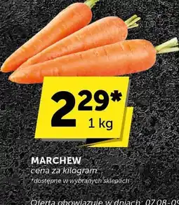 Euro Sklep Marchew Euro Sklep oferta