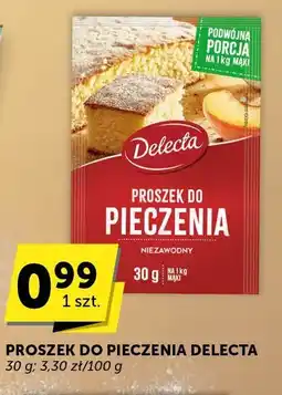 Euro Sklep Proszek do pieczenia Delecta oferta