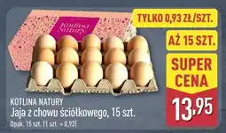 ALDI Jaja z chowu ściółkowego KOTLINA NATURY oferta