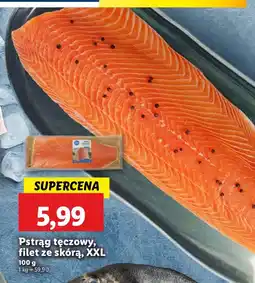 Lidl Ryba pstrąg tęczowy, filet ze skórą, XXL Lidl oferta