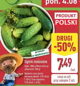 ALDI Ogórki małosolne Aldi oferta