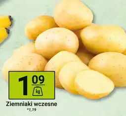 Hitpol Ziemniaki wczesne Hitpol oferta