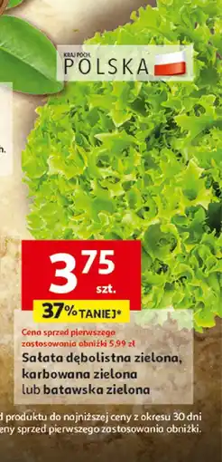 Auchan Sałata dębolistna zielona, karbowana zielona, batawska zielona 1 szt. Auchan oferta