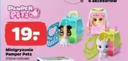 Netto Mini gryzonie Pamper Petz oferta