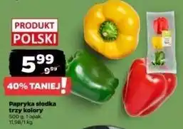 Netto Papryka trzy kolory oferta