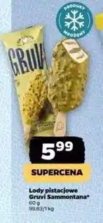 Netto Lód pistacjowy Sammontana Gruvi oferta