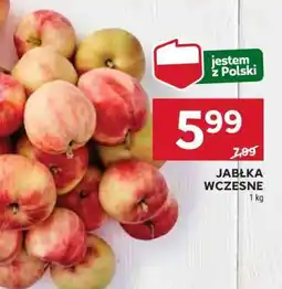 Stokrotka Market Jabłka wczesne oferta