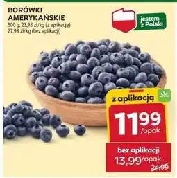 Stokrotka Market Borówki amerykańskie oferta