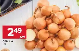 Stokrotka Market Cebula oferta