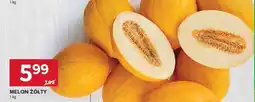 Stokrotka Market Melon żółty oferta