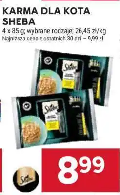 Stokrotka Market Karma dla kota Sheba oferta