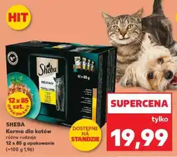 Kaufland SHEBA Karma dla kotów oferta