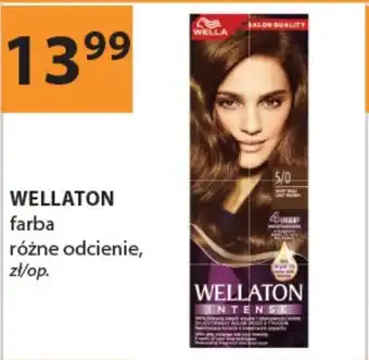 Drogerie Laboo Wellaton farba oferta