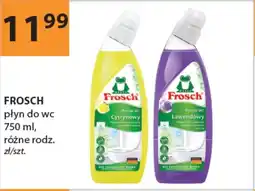 Drogerie Laboo Frosch płyn do wc oferta