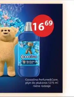 Drogerie Laboo Coccolino Perfume&Care, płyn do płukania oferta
