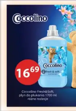 Drogerie Laboo Coccolino Fresh&Soft, płyn do płukania oferta