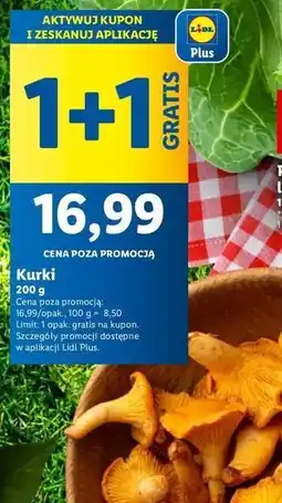 Lidl Kurki oferta