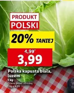 Lidl Kapusta biała oferta