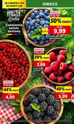 Lidl Porzeczka czerwona oferta
