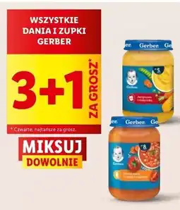 Lidl Zupka pomidorowa z ryżem i indykiem Gerber oferta