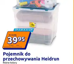 Action Pojemnik do przechowywania Heidrun oferta
