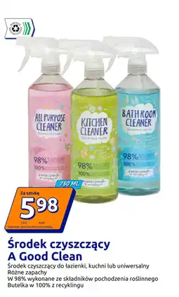 Action Środek czyszczący A Good Clean oferta