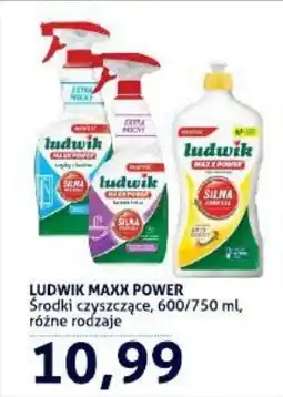 Blue Stop Ludwik maxx power środki czyszczące oferta