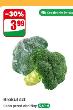 Dino Brokuł Dino oferta