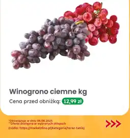 Dino Winogrono ciemne Dino oferta