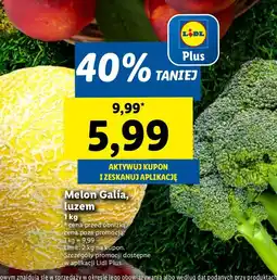 Lidl Melon Galia 1 kg Lidl oferta