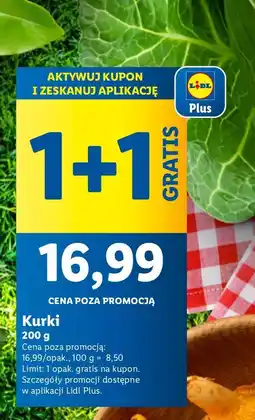 Lidl Kurki 1 opak. Lidl oferta