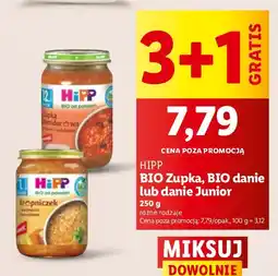 Lidl Zupka, BIO danie, danie Junior HiPP oferta