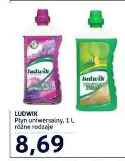 Blue Stop Płyn uniwersalny Ludwik oferta