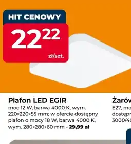 Mrówka Plafon Barwa oferta