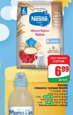 Dino Kaszka Nestle oferta