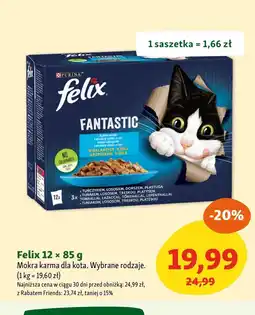 Maxi Zoo Mokra karma dla kota Felix oferta