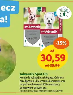 Maxi Zoo Środek na pchły dla psa Advantix oferta