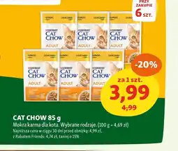 Maxi Zoo Mokra karma dla kota Cat Chow oferta