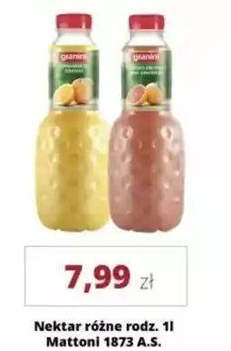 Torimpex Nektar mattoni 1873 a.s. oferta