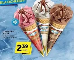 Groszek Lody Koral Rożek oferta