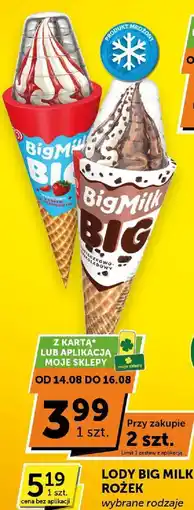 Groszek Lody Big Milk różne rodzaje oferta