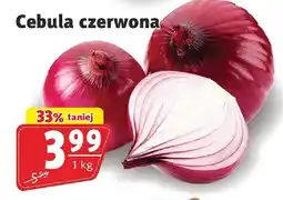 Prim Market Cebula czerwona Prim Market oferta